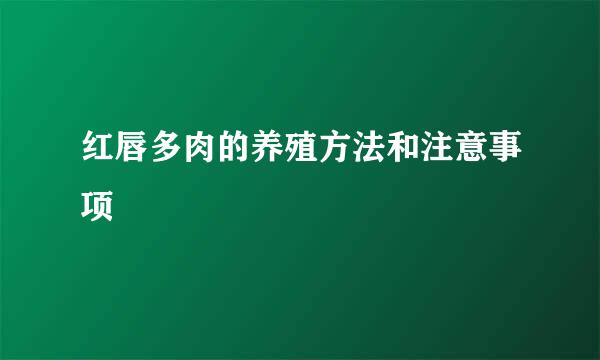 红唇多肉的养殖方法和注意事项