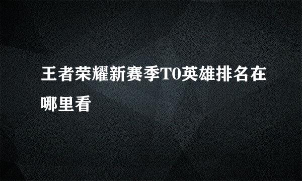 王者荣耀新赛季T0英雄排名在哪里看