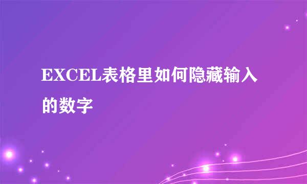 EXCEL表格里如何隐藏输入的数字