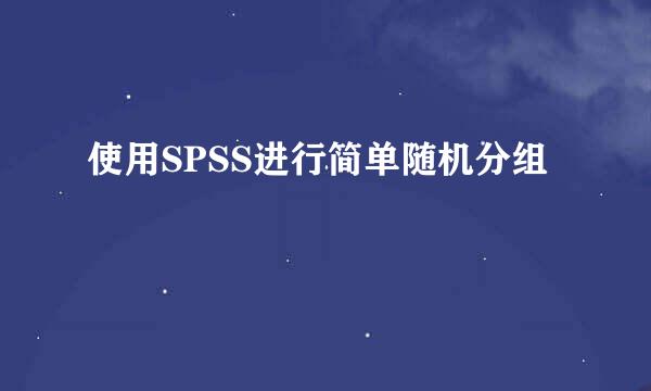 使用SPSS进行简单随机分组