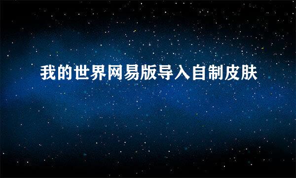 我的世界网易版导入自制皮肤