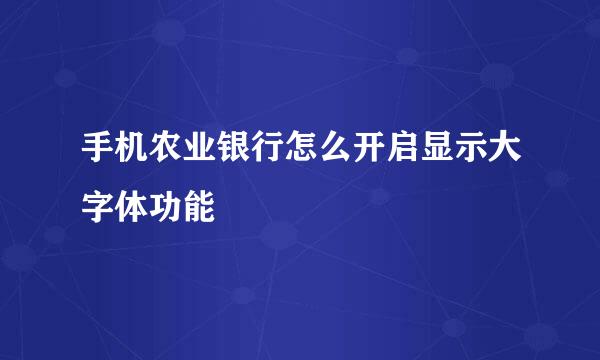 手机农业银行怎么开启显示大字体功能