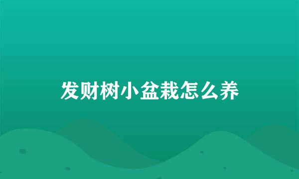 发财树小盆栽怎么养
