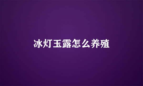 冰灯玉露怎么养殖