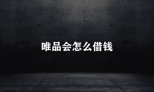唯品会怎么借钱