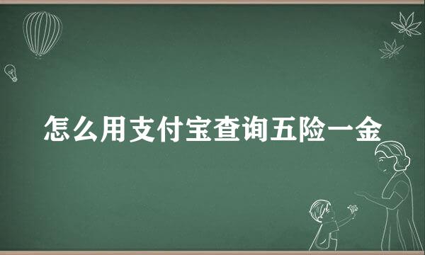 怎么用支付宝查询五险一金