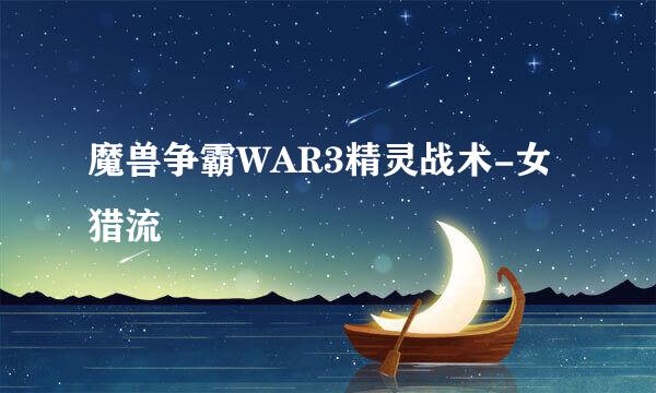 魔兽争霸WAR3精灵战术-女猎流