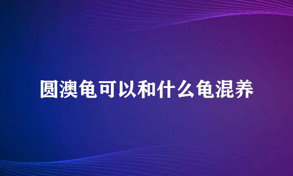 圆澳龟可以和什么龟混养