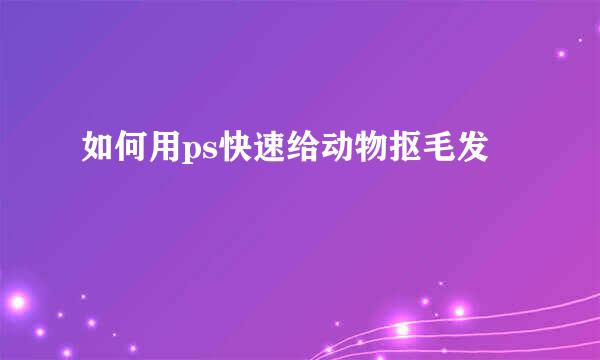 如何用ps快速给动物抠毛发
