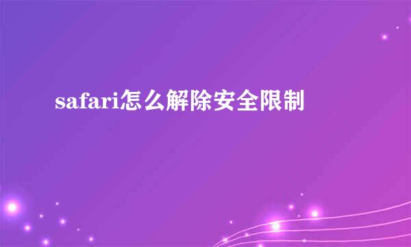 safari怎么解除安全限制