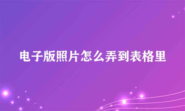 电子版照片怎么弄到表格里