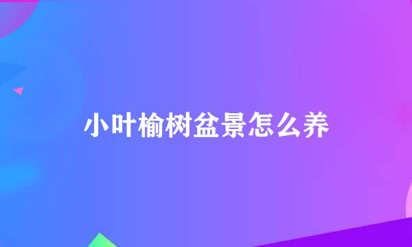 小叶榆树盆景怎么养