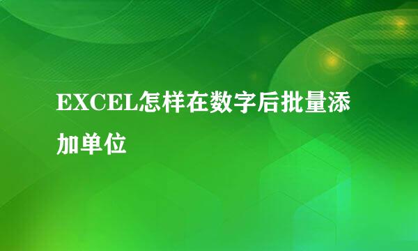 EXCEL怎样在数字后批量添加单位
