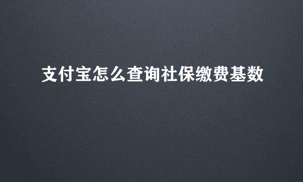 支付宝怎么查询社保缴费基数