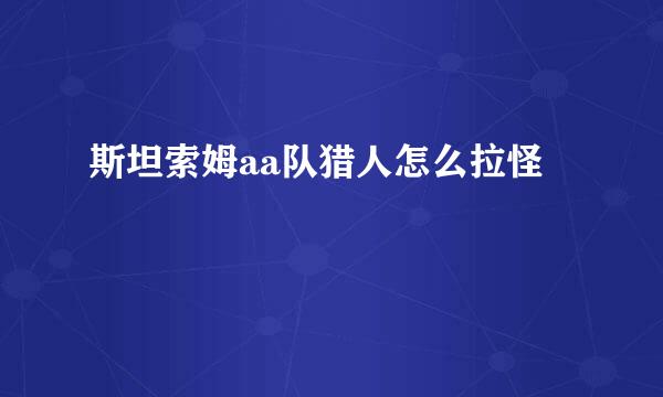 斯坦索姆aa队猎人怎么拉怪
