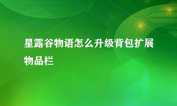 星露谷物语怎么升级背包扩展物品栏