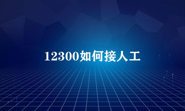 12300如何接人工