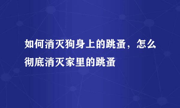 如何消灭狗身上的跳蚤，怎么彻底消灭家里的跳蚤