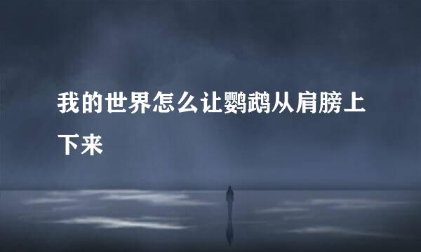 我的世界怎么让鹦鹉从肩膀上下来