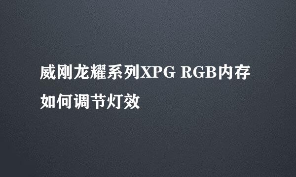 威刚龙耀系列XPG RGB内存如何调节灯效