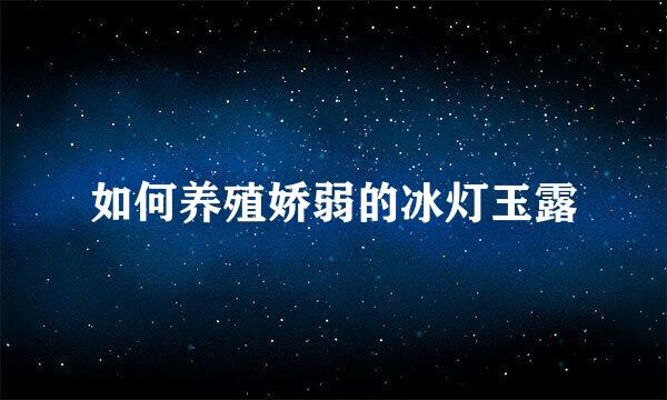 如何养殖娇弱的冰灯玉露