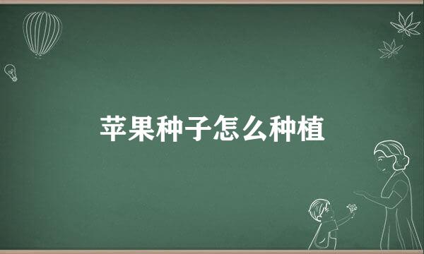 苹果种子怎么种植