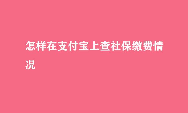 怎样在支付宝上查社保缴费情况