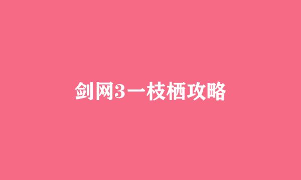 剑网3一枝栖攻略