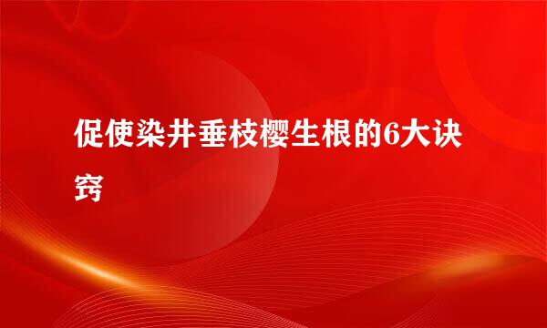 促使染井垂枝樱生根的6大诀窍