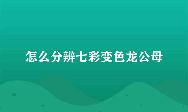 怎么分辨七彩变色龙公母