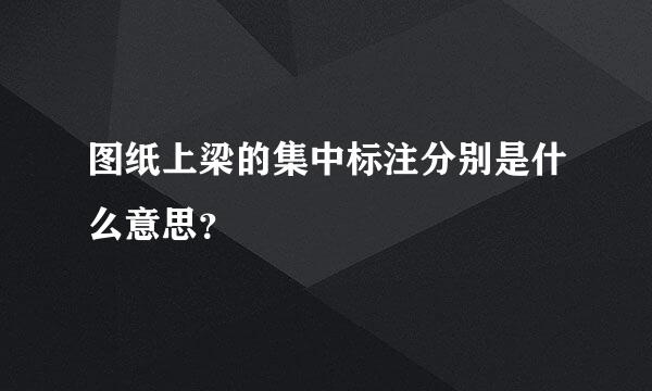 图纸上梁的集中标注分别是什么意思？