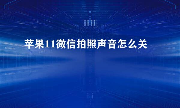 苹果11微信拍照声音怎么关
