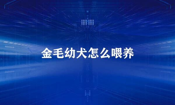 金毛幼犬怎么喂养