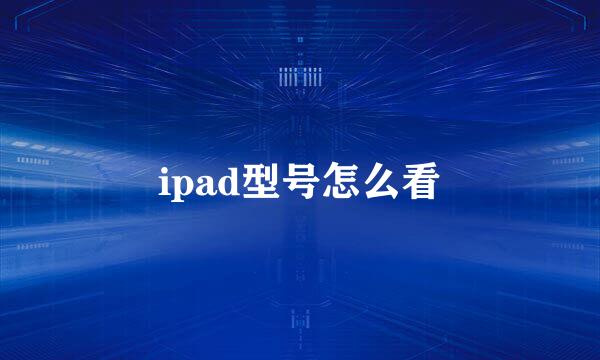 ipad型号怎么看