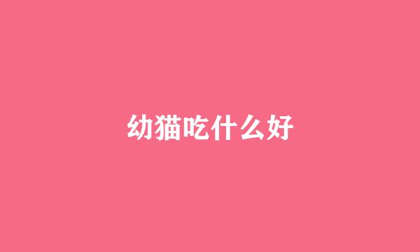 幼猫吃什么好