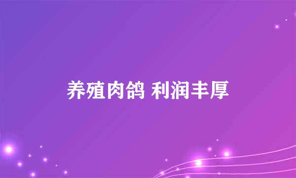 养殖肉鸽 利润丰厚
