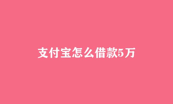 支付宝怎么借款5万