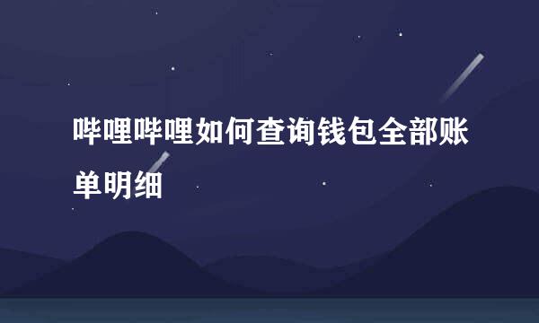 哔哩哔哩如何查询钱包全部账单明细