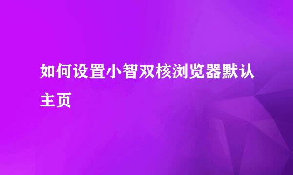 如何设置小智双核浏览器默认主页