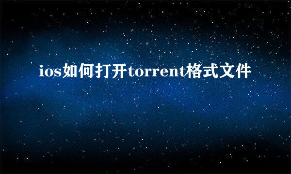 ios如何打开torrent格式文件
