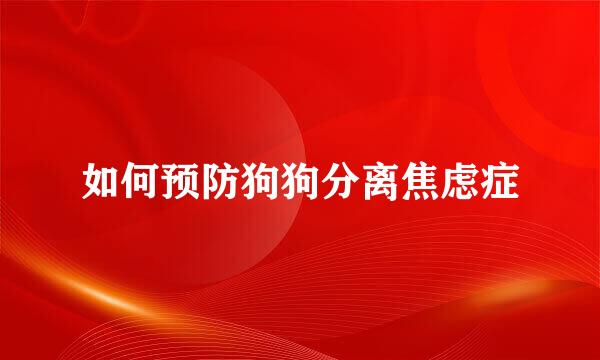 如何预防狗狗分离焦虑症