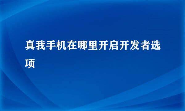 真我手机在哪里开启开发者选项