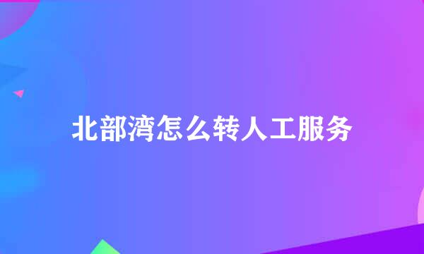 北部湾怎么转人工服务