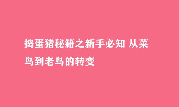 捣蛋猪秘籍之新手必知 从菜鸟到老鸟的转变