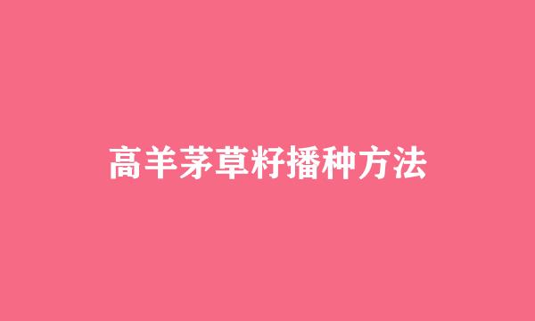 高羊茅草籽播种方法