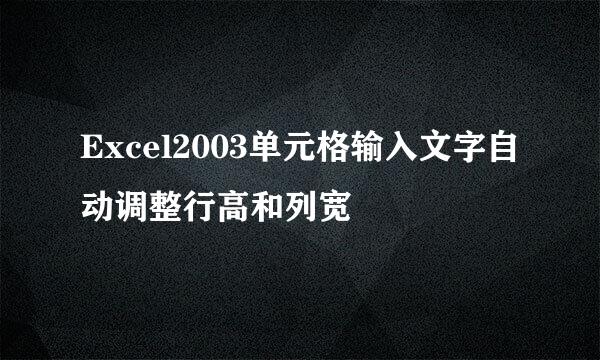 Excel2003单元格输入文字自动调整行高和列宽