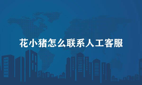 花小猪怎么联系人工客服