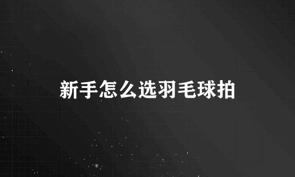 新手怎么选羽毛球拍
