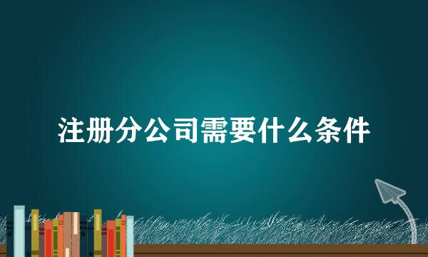 注册分公司需要什么条件