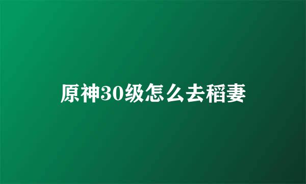 原神30级怎么去稻妻